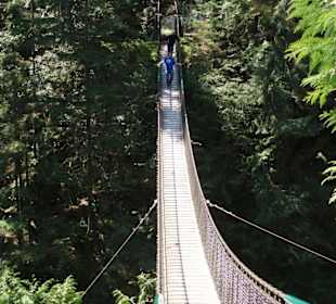Lynn Canyon Suspension Bridge