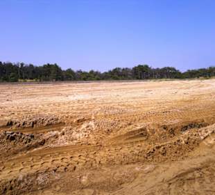 Strand in Bibione Juni 2012