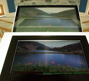 LCD-TV