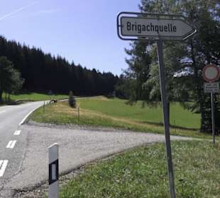 Brigachquelle