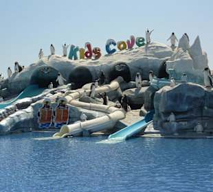 Ice Land
