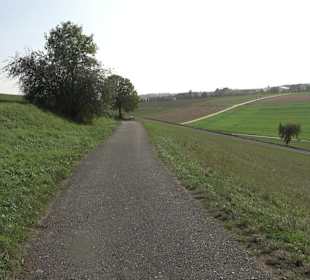 Wanderung zur Burgruine Liebenau
