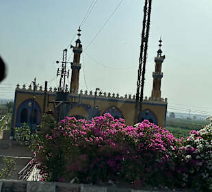 Luxor Reise mit Assem