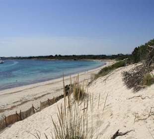 Blick von den Dünen auf den Strand