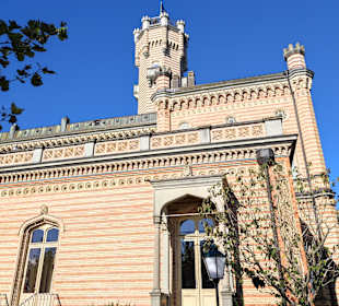 Schloss Montfort