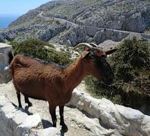 Cap de Formentor