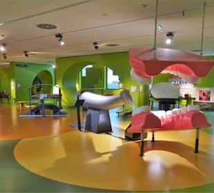 In der Welt des Science Centers