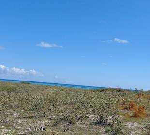 Eindrücke während der Fahrt