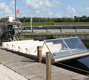 Airboat Gator Park
