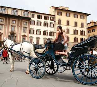 Kutschpferd in Florenz