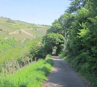 Impressionen Kräuterweg in Assmannshausen