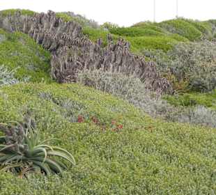 Kap Agulhas