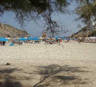 Feinsandig - flacher Zugang - glasklares Wasser