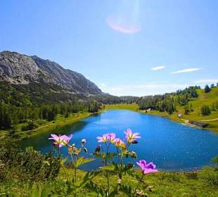 Am Hochplateau der Tauplitz-Alm