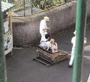 Inselrundfahrt Madeira