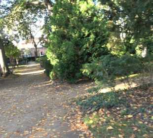 Dorotheenstädtischer Friedhof