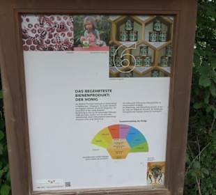 Naturinfopfad Weggental