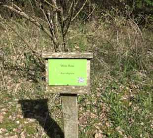 Strauchlehrpfad