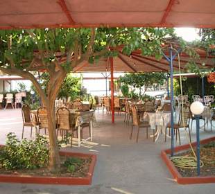 Pizzeria Grillhaus Life