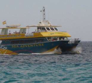 Fahrt mit Glasbodenboot