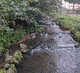 Wandern Höhr Grenzhausen