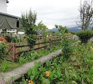 Wildlife Expeditions