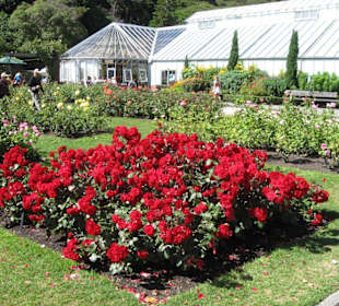 Besuchen Sie den Botanischen Garten