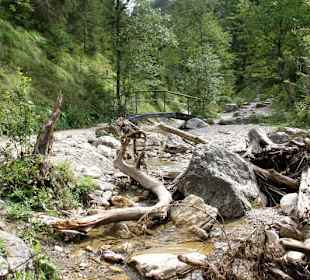 Homole Schlucht/ Jaworki-Ausflug aus Szczawnica 
