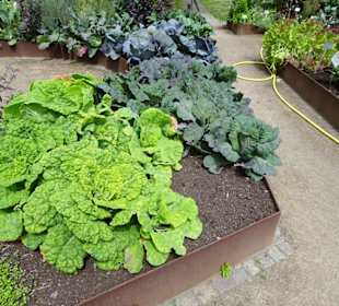 Impressionen aus dem Botanischen Garten Düsseldorf