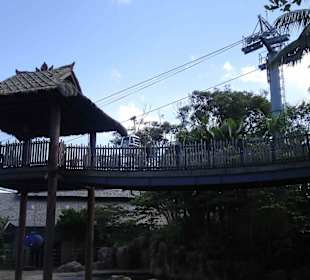 Taronga Zoo