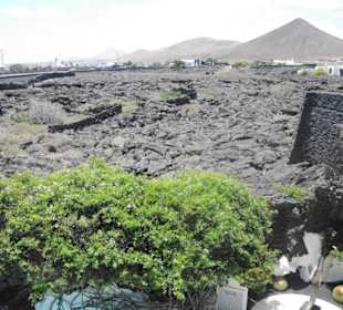 Fundacion Cesar Manrique Impression