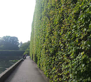 Palmiarnia Park Oliwski