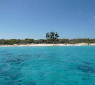 Ausblick auf Catalina
