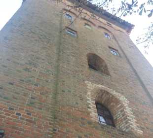 Zamek Nidzica