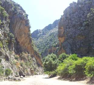 Narrow road for hiking 