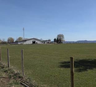 Alpakafarm Schaber