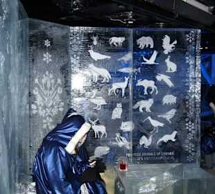 Schöne Muster im Eis