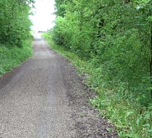 Ruine Burg Kaltenburg