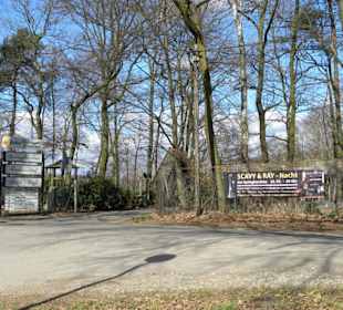 Restaurant Cafe Am Springhorstsee