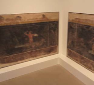 Museum für Vor- und Frühgeschichte