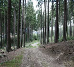 Wanderweg im Kälbersteingebiet