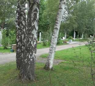 Friedhof Derendingen