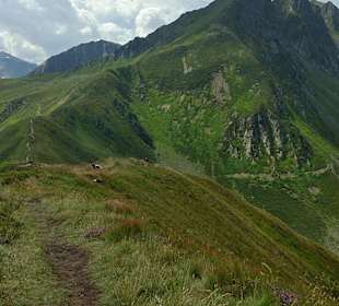 Wandern Fügen (Zillertal)