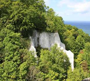 Blick vom Königsstuhl