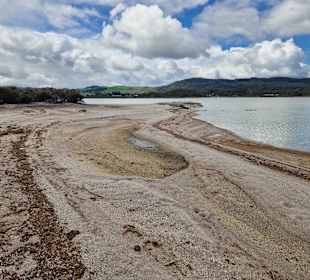 Geothermal Walking Track