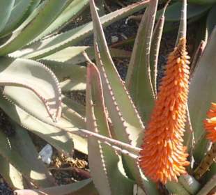 Parque del Sur in San Fernando