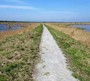 Rundgang durch das Stapeler Moor