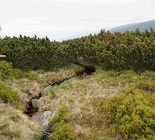 Karkonoski Park Narodowy