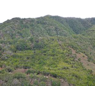 Garajonay National Park