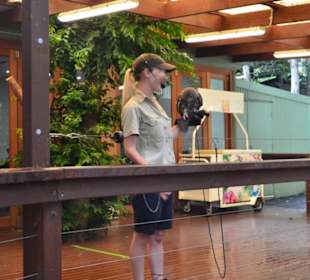 Feather Dale Wildlife Park